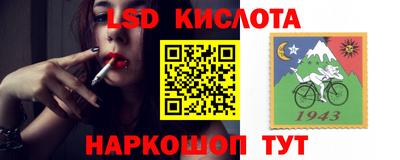 Альфа ПВП Камышлов