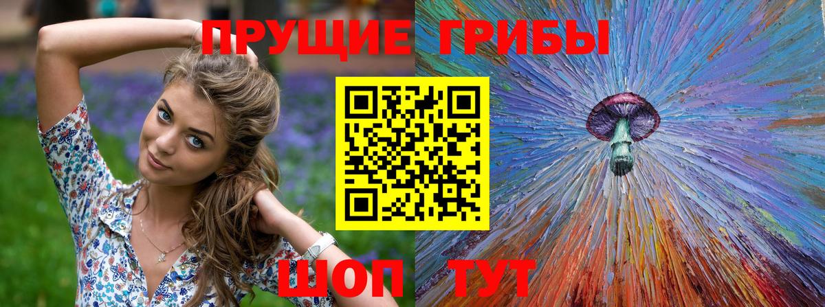Псилоцибиновые грибы Psilocybe  Вход с VPN  Тихвин 